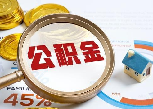 陇南2025年政策调整对个人影响综合解析