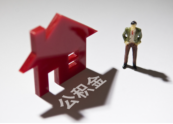 陇南2025年4月最新公积金政策解读